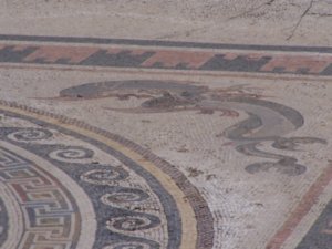 Detail of the Dolphin mosaic