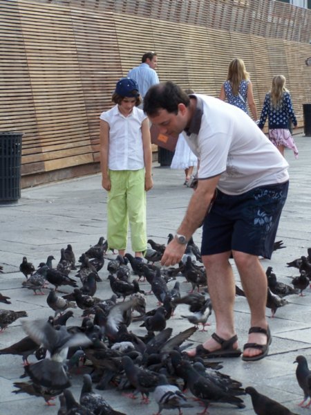 The famous pigeons of St. Mark's Square