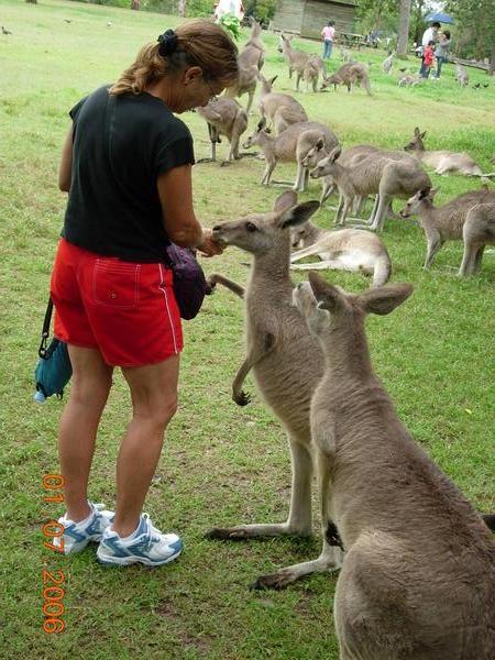 Pam and the Roos