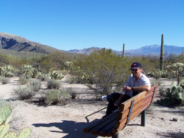 Later that afternoon a picnic in Sabino Canyon