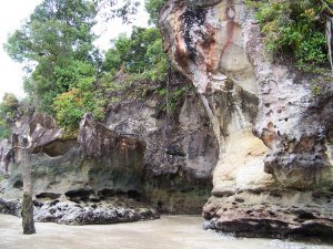 The eroded limestone cliffs along the beach at Bako
