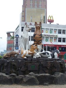 Kuching means City of Cats