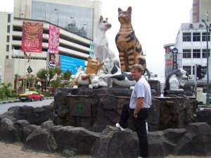 Down town with the cats and the shopping malls