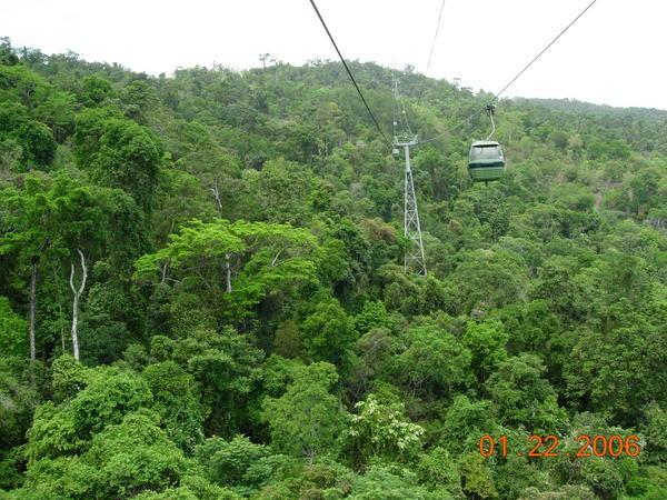 The Skyrail to Kuranda Rainforest