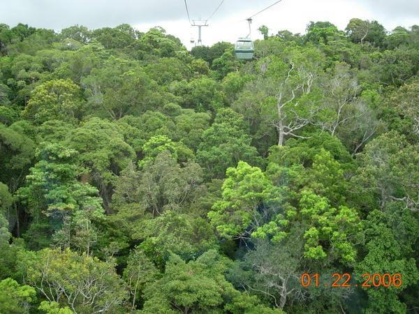 Skyrail Cable Cars  - Kuranda Rainforest