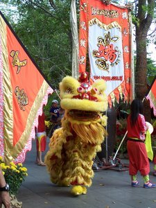 Lion Dance at the Zoo