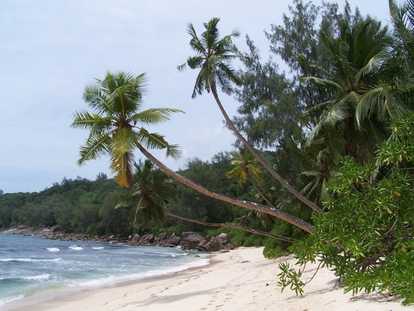A Mahe island beach
