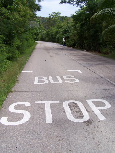A Seychelle's Bus Stop