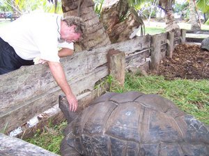 The tortoises LOVE to be petted on the head and neck!