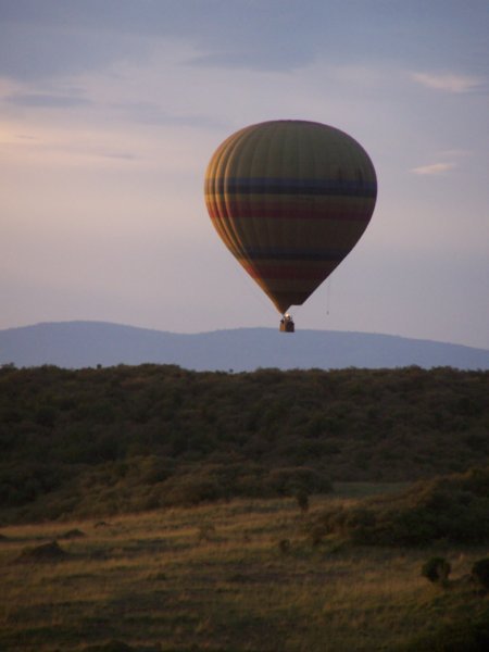 Another way to view the animals on the Masai Mara