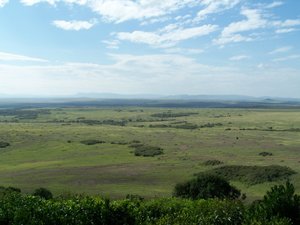 Savannahs of Masai Mara National Reserve