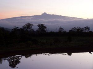 Mt. Kenya at sunrise 