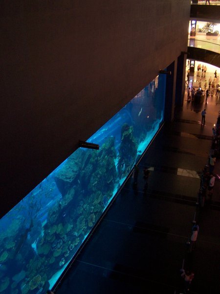 Aquarium at the Dubai Mall