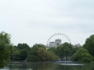 The London Eye (the ferris wheel)