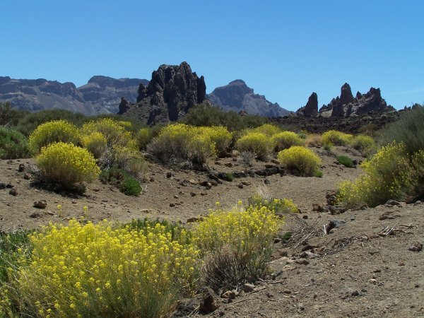 El Teide and the desert