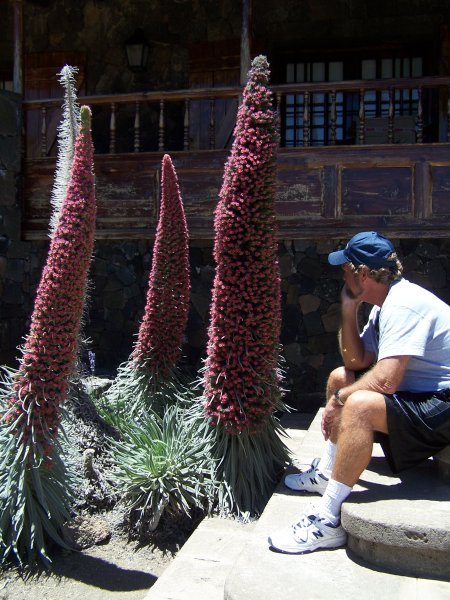 Ron and the local flora