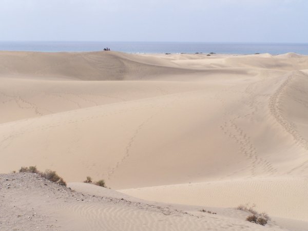 Dune-scape