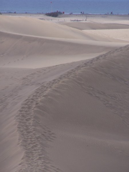 Dune trails