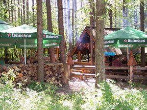 Cafe in the woods