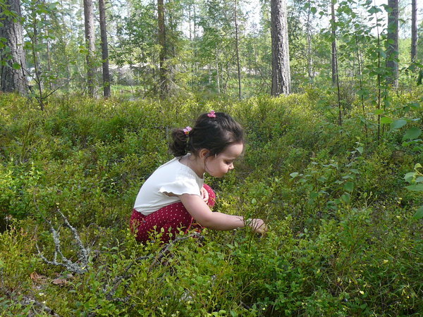 More berry picking
