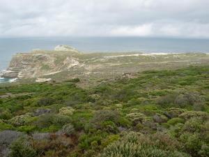 A windy, foggy day at The Cape of Good Hope