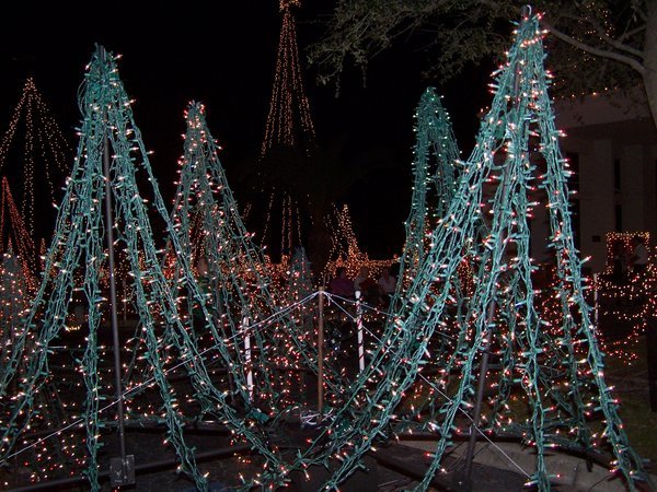 Sarasota Christmas Lights
