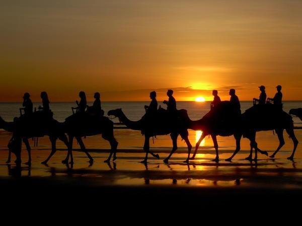 Sunset Camel Safari 