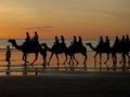 Sunset Camel Safari on Cable Beach