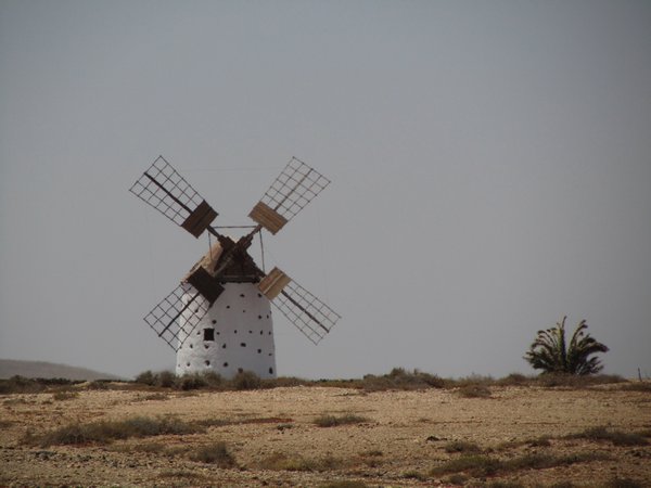 A windy island has to have windmills.