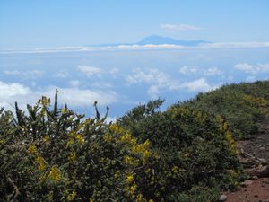 La Palma - Taburiente Crater National Park