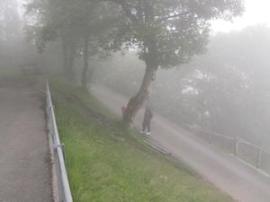 A foggy hike to Gimmelwald