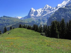Allmendhubel - the mountain views