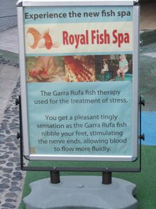 My visit to the Garra Ruffa Fish Spa