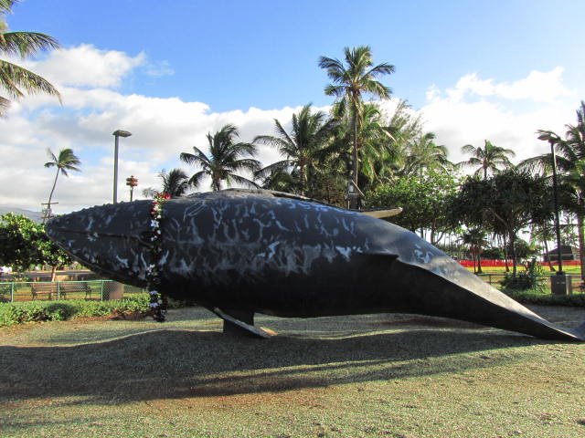 A Christmas lei for the whale