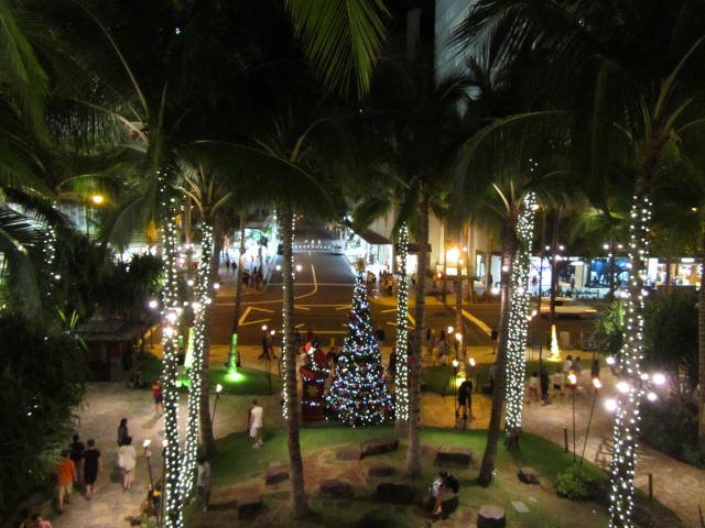 Waikiki Christmas lights