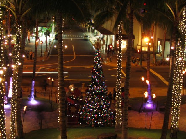 Waikiki Christmas lights