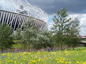 Meadows of wildflowers surround the Olympic Stadium