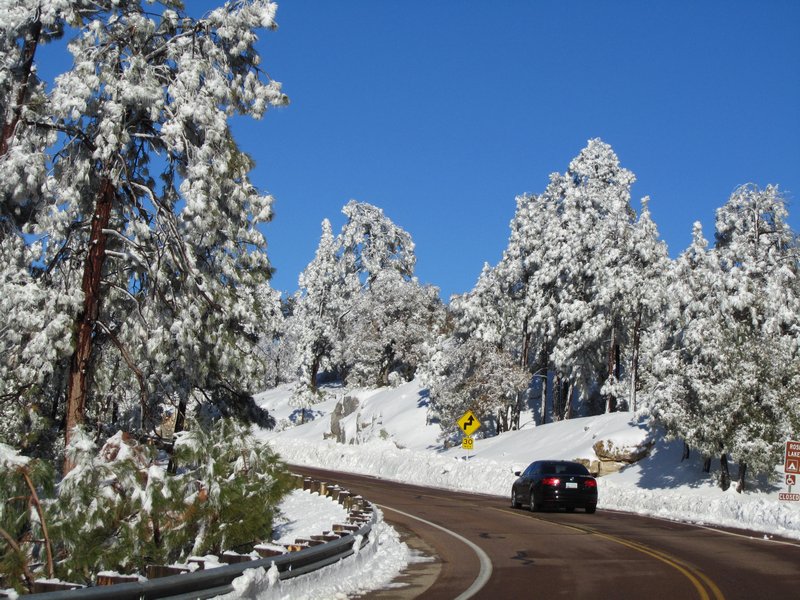 Driving up to Mt. Lemmon to see the snow