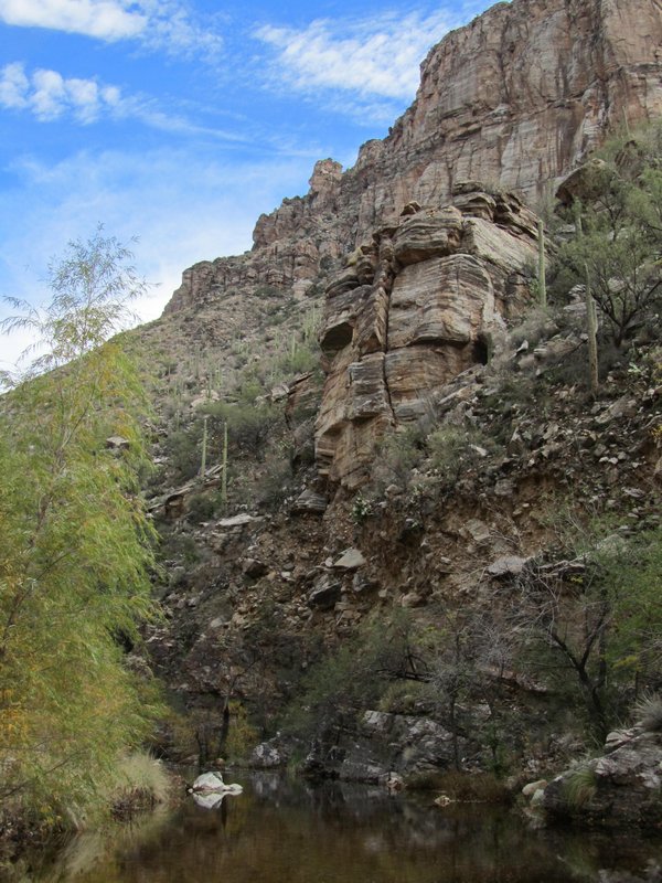 The Stone man face formation in Sabino Canyon