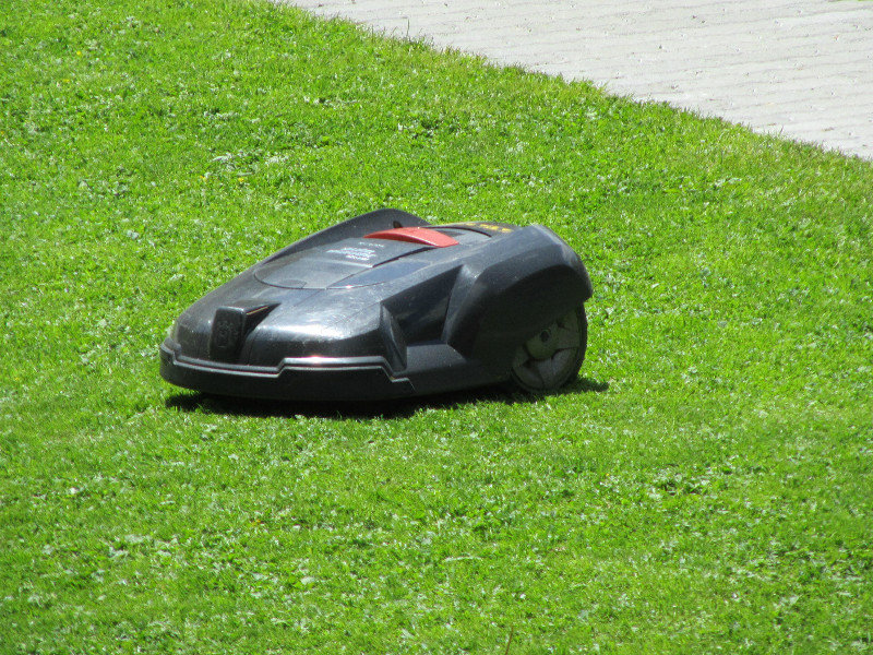 Swiss Lawn Mower???