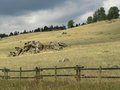 Wyoming countryside