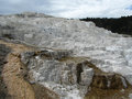 Terraces of the Mammoth Hot Springs