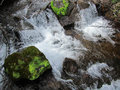 Mossy rocks and sparkling water
