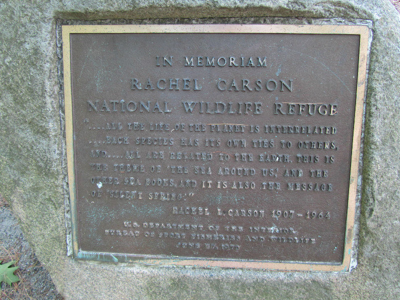 Rachel Carson Wildlife Refuge 