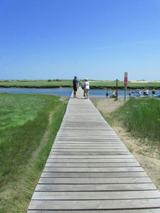 Marsh Boardwalk - Sandwich, Massachusetts