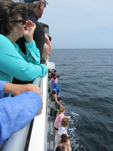 Watching for whales
