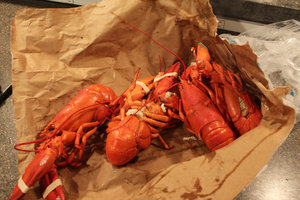 Lobster dinner #4