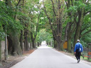 Walking to Kosciuszko Mound