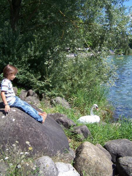 Boy with the White Swan