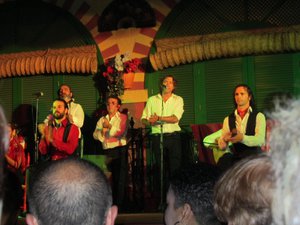 Flamenco at El Palacio  Andaluz